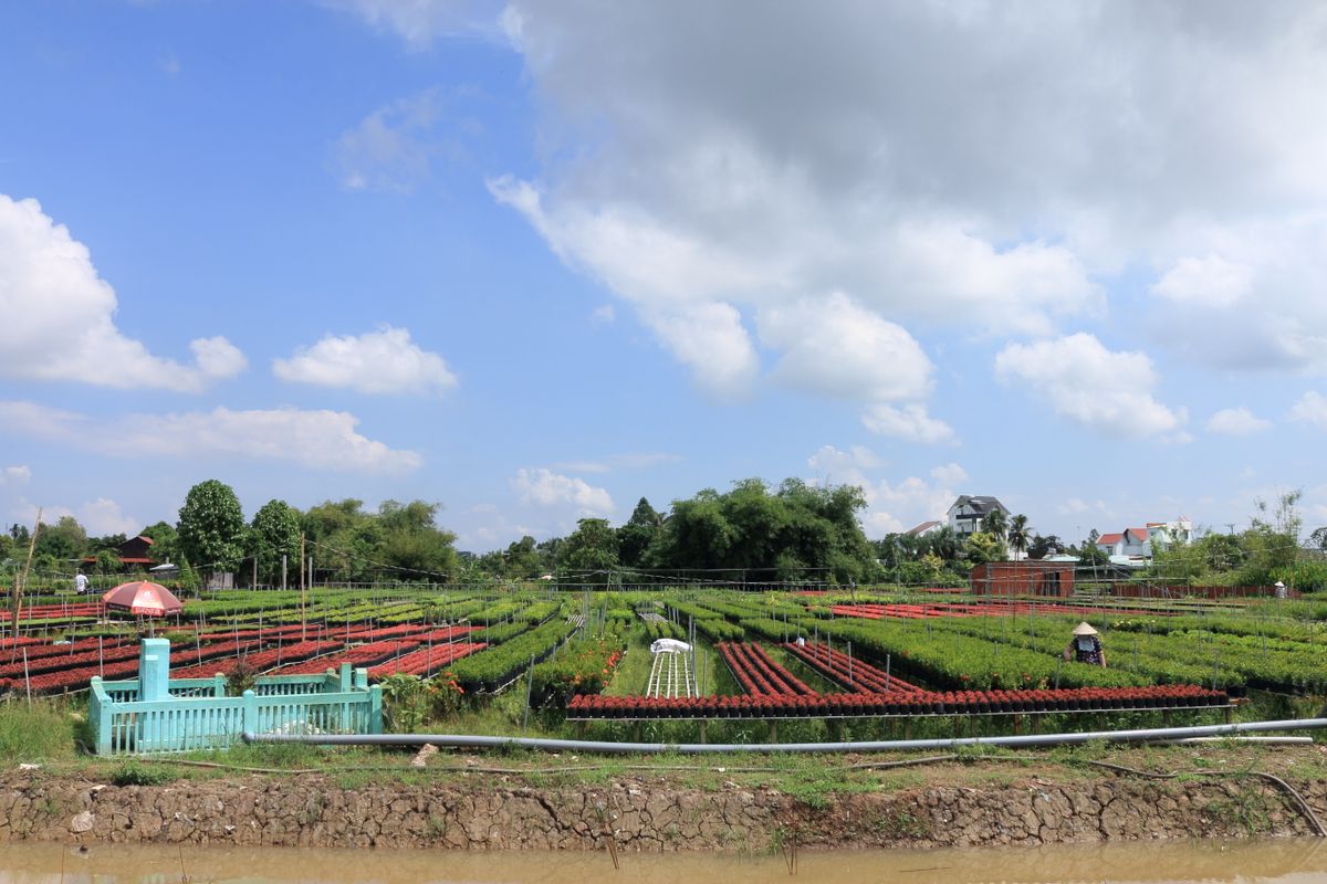 Leaf Village & Farm – Làng Lá: Tọa Độ Chữa Lành Giữa Núi Rừng Hòa Bắc
