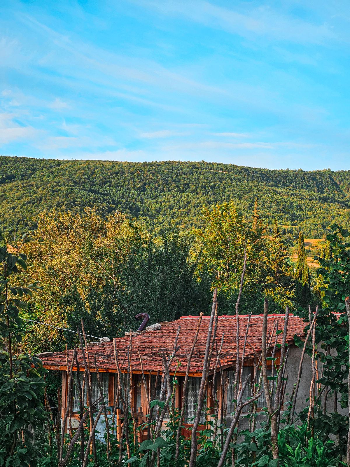 Leaf Village & Farm – Làng Lá: Tọa Độ Chữa Lành Giữa Núi Rừng Hòa Bắc